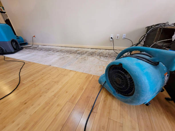 Professional Water Extraction technician working in Royalston, MA